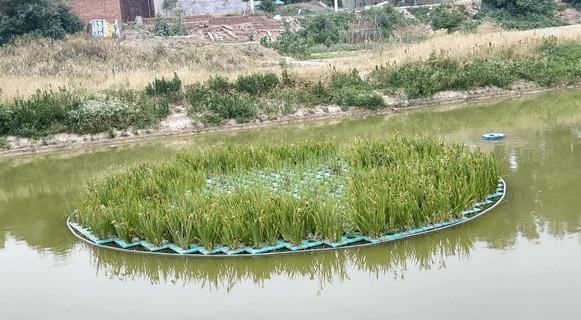 如何治理農(nóng)村河道污水